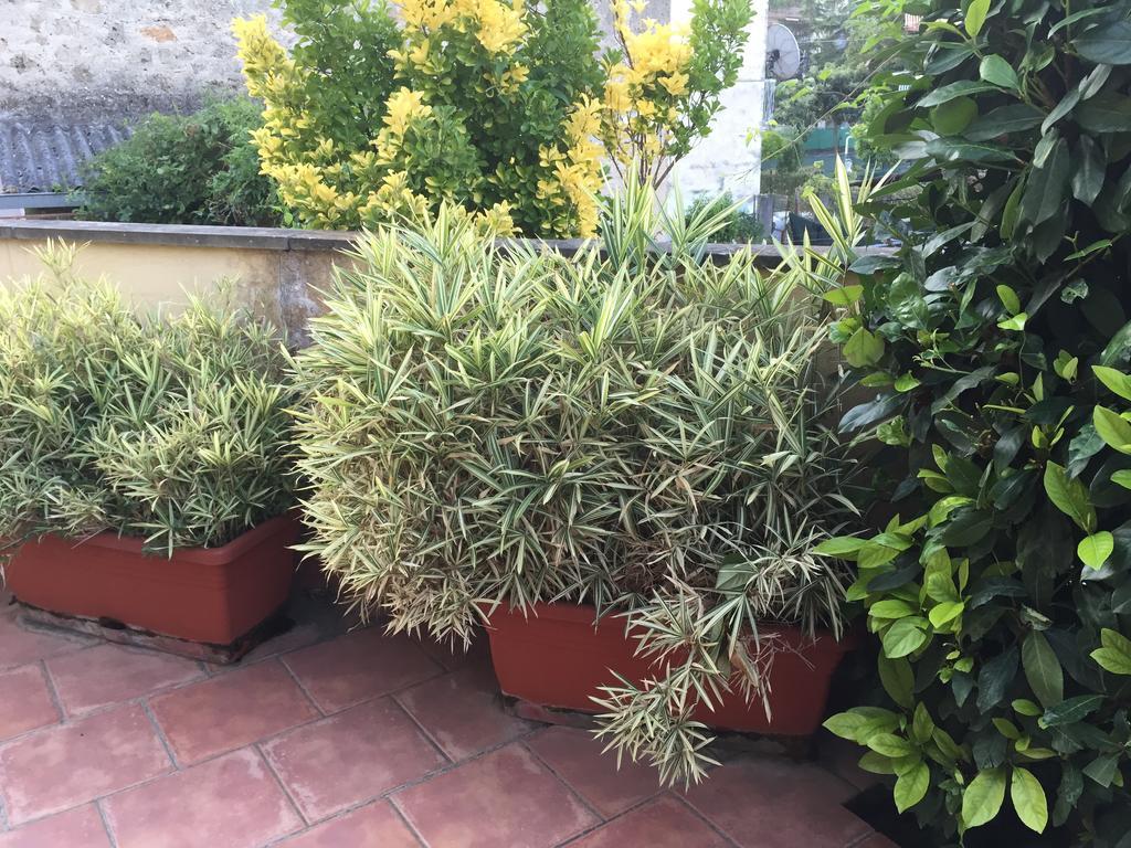 A Casa Di Grace Bed & Breakfast Cassino Exterior foto
